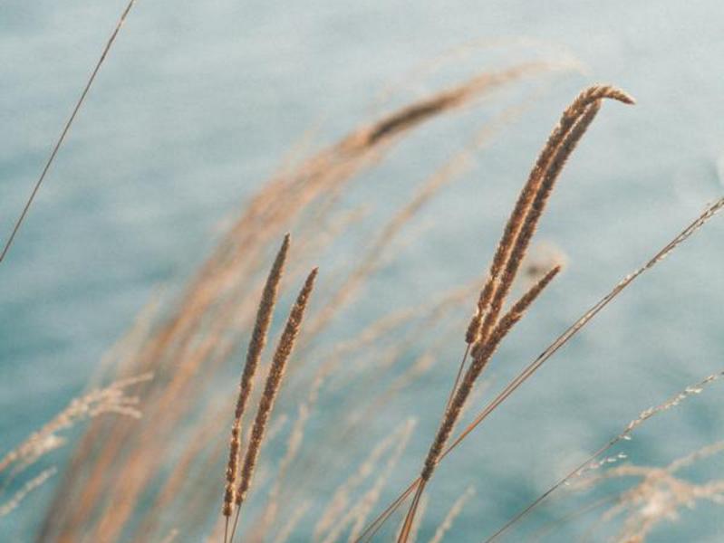 Sinnstiftende Zusammenarbeit